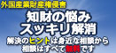 外国産業財産権侵害対策等支援事業